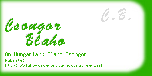 csongor blaho business card